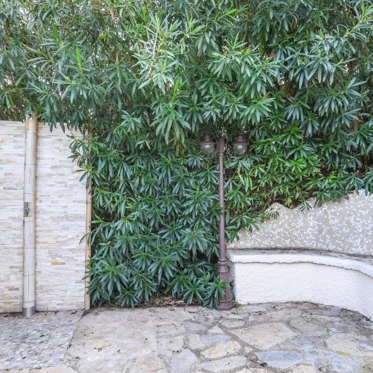 Belvilla by oyo villa - Villa de 3 dormitorios - 26