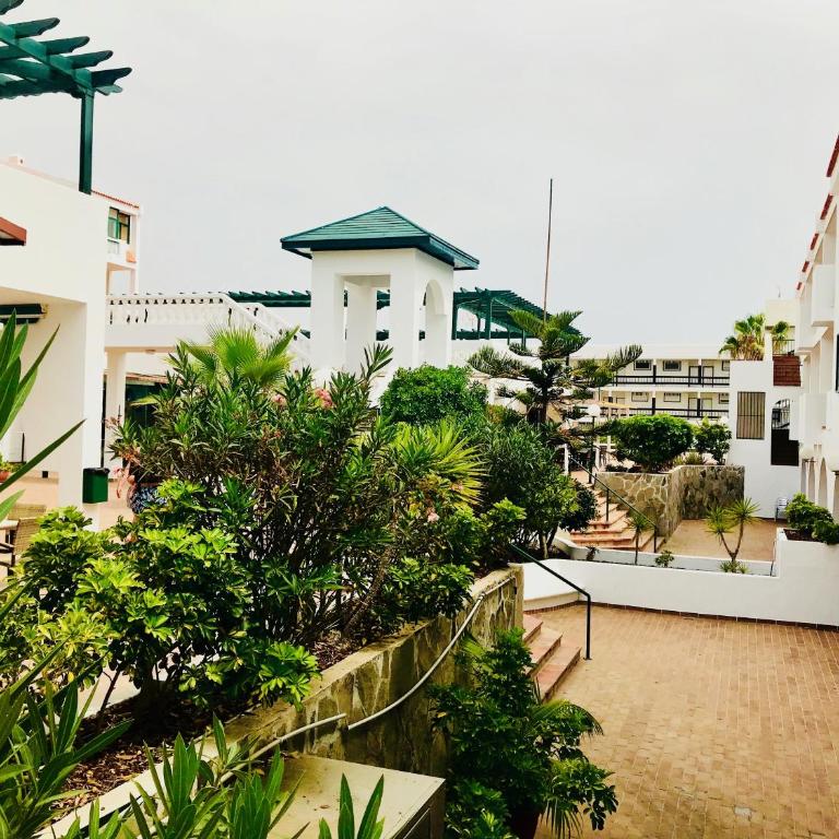 Esmeralda - Apartamento de 1 dormitorio - 30