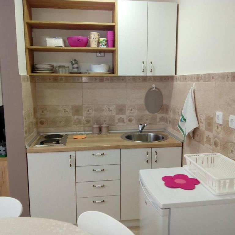 Divcibare apartmani Gavrić - Studio - 22