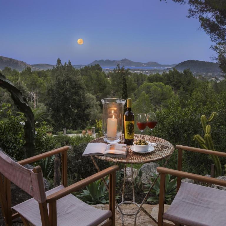 Can Punxa Dalt - Traditional Villa with Heatable Pool - Villa Deluxe - 51
