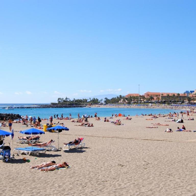 Torres Los Cristianos - Estudio Estándar - 15