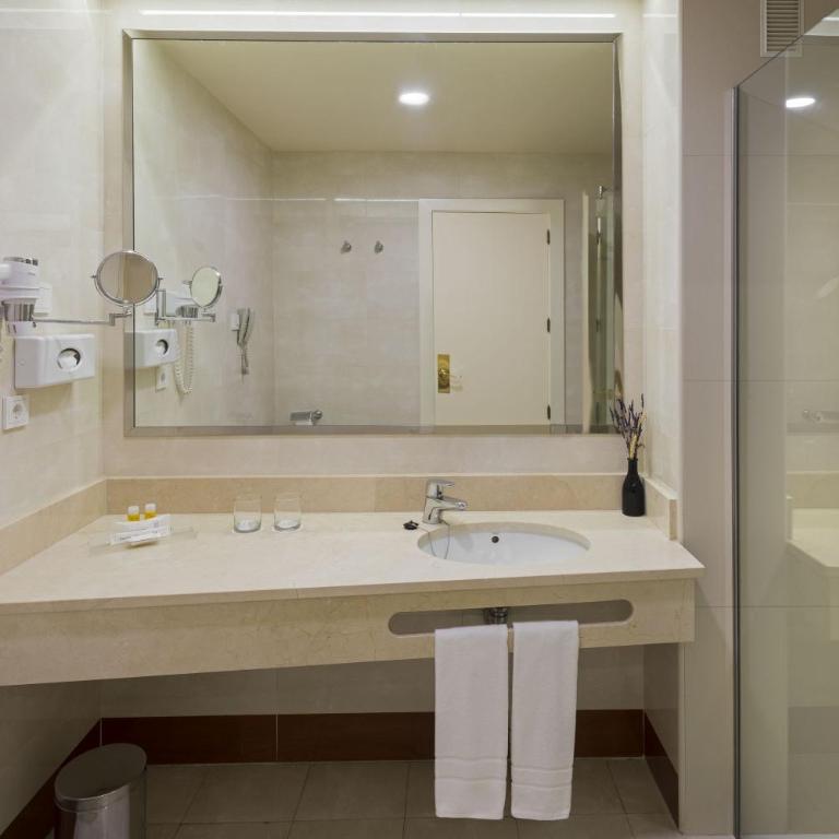 Elba Madrid Alcalá - Superior Double Room - 4