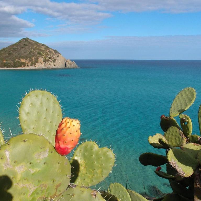 Casa Casciu La collina sul mare - Villa - 16