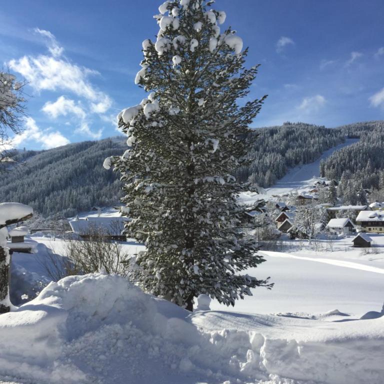 Schmiedsipplhof - Apartment - auf 2 Etagen - 8