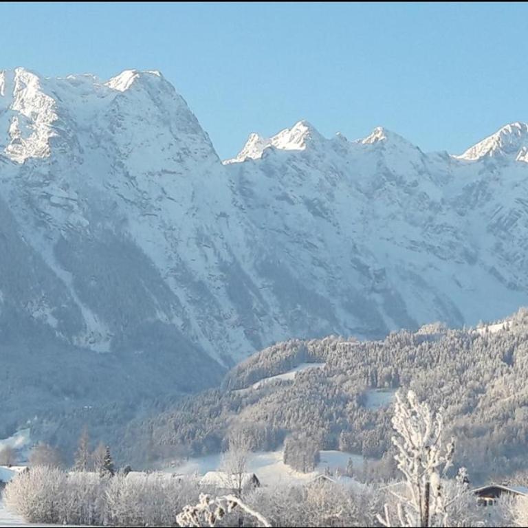 Ferienwohnung Alpenblick - Appartement - Rez-de-Chaussée - 38