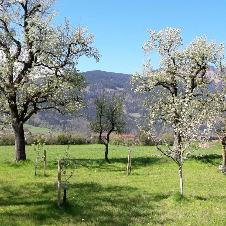 Ferienwohnung Alpenblick - Appartement - Rez-de-Chaussée - 36