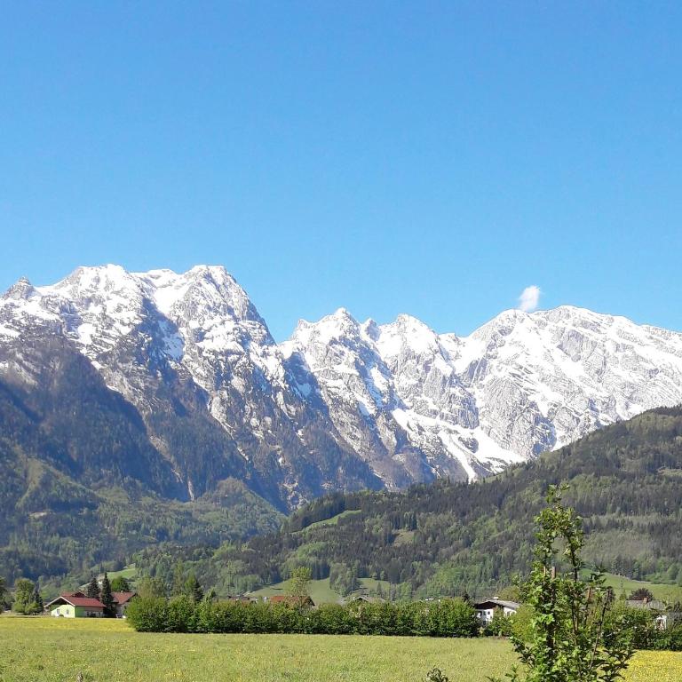 Ferienwohnung Alpenblick - Appartement - Rez-de-Chaussée - 37