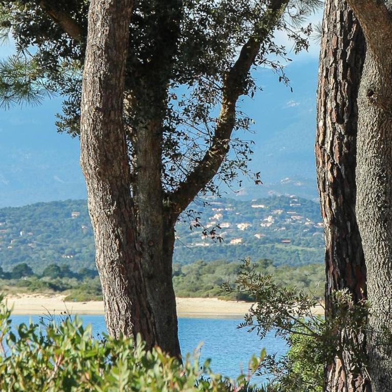Les Arcades - Appartement 1 Chambre (4 Adultes) - 12