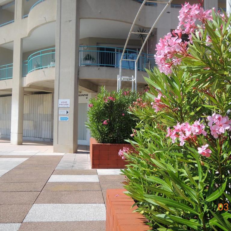 Les Pins Bleus - Antibes Juan Les Pins - Apartamento con vistas al jardín - 2
