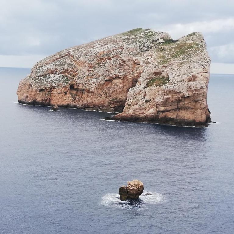Alghero, casa di Roberto - Appartamento con Terrazza - 34