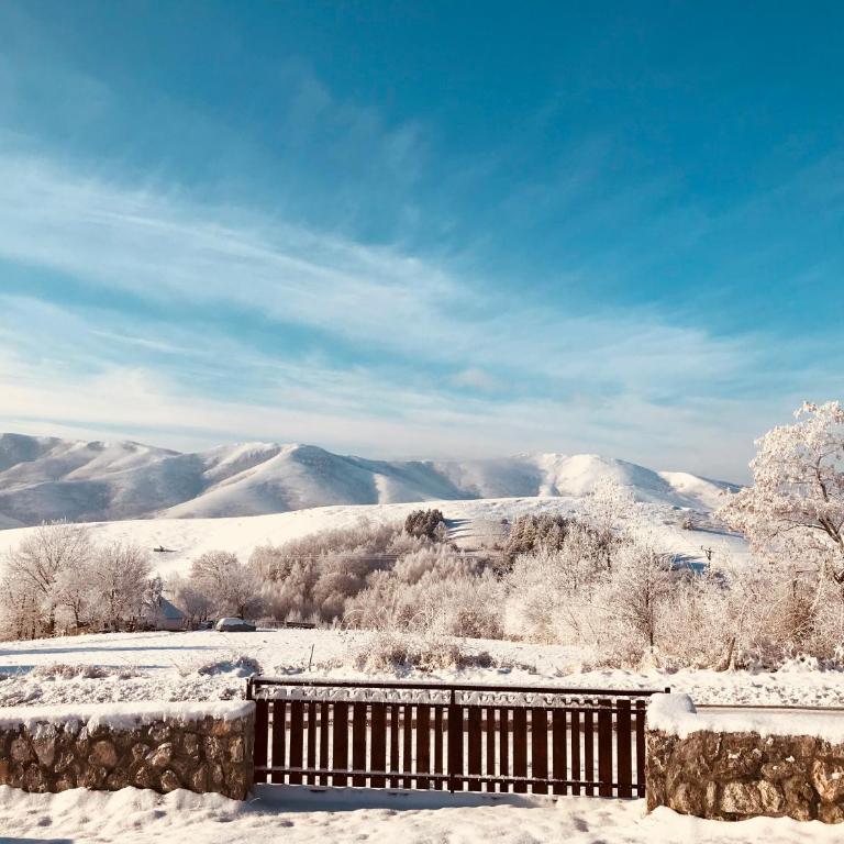 Zlatibor Cottages - Vacation Home - 10