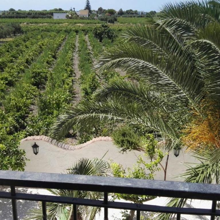 Residenza al Gelso - Appartamento con Terrazza - 2