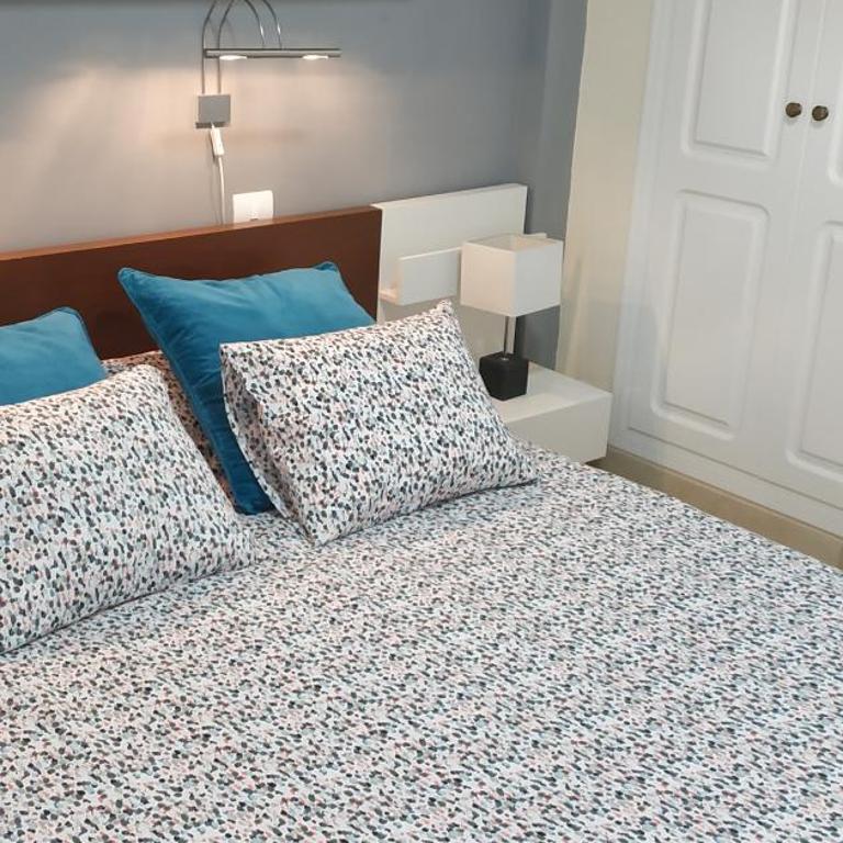 C101 Los Balandros - Two-Bedroom Apartment - 7