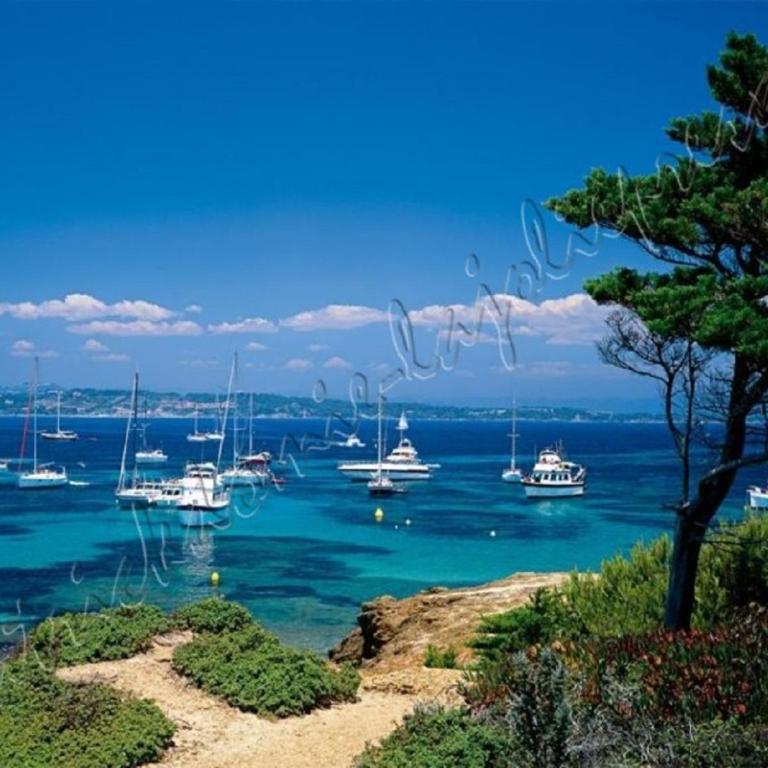HYERES, Magnifique Parc de la Presqu'île avec Piscine et Plage face à Porquerolles ! - Apartment - 52