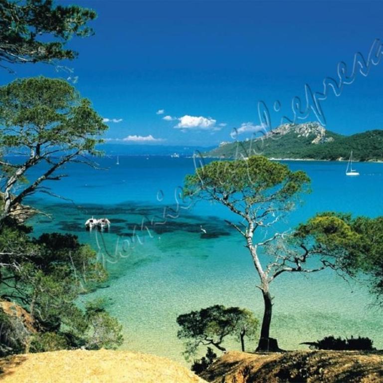 HYERES, Magnifique Parc de la Presqu'île avec Piscine et Plage face à Porquerolles ! - Apartment - 72