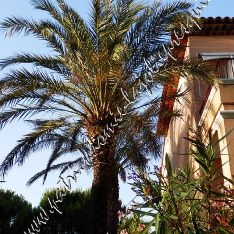 HYERES, Magnifique Parc de la Presqu'île avec Piscine et Plage face à Porquerolles ! - Apartment - 8