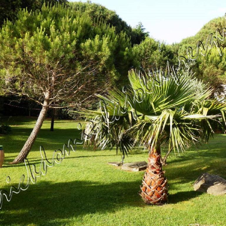 HYERES, Magnifique Parc de la Presqu'île avec Piscine et Plage face à Porquerolles ! - Apartment - 59