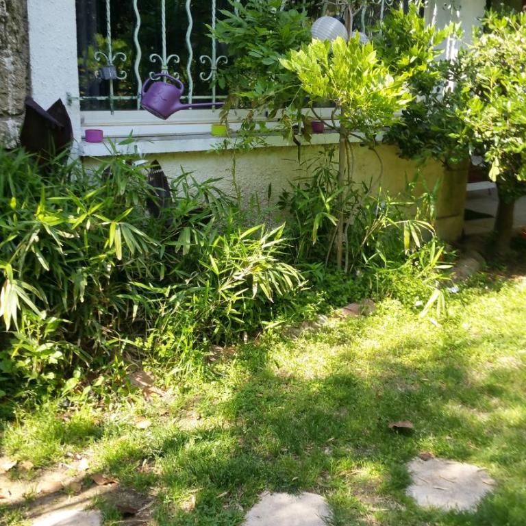 Jardin et bambous, studio cosy, classé 2 étoiles - Appartement - 29