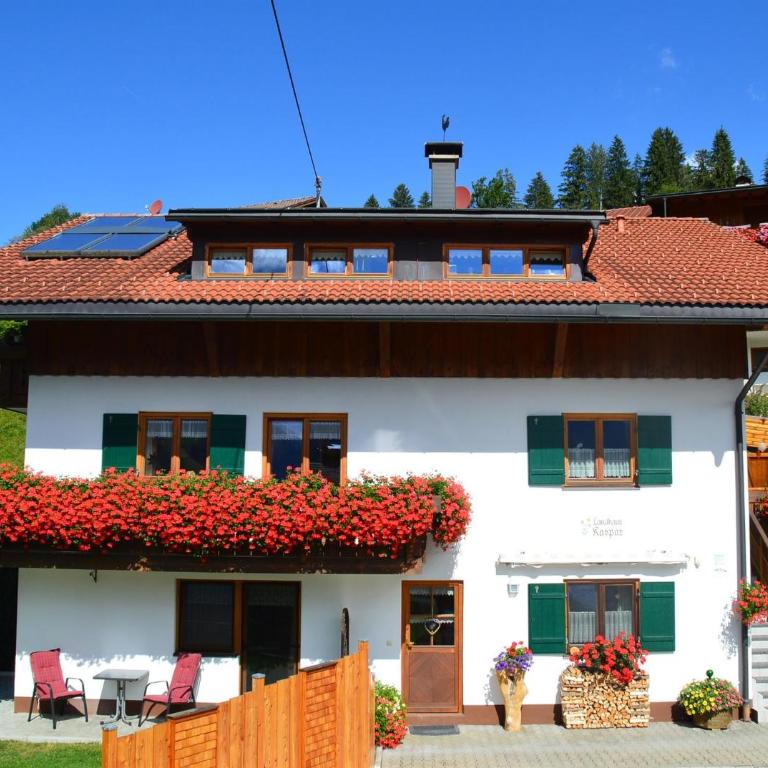Landhaus Kaspar - Apartment - Erdgeschoss - 1