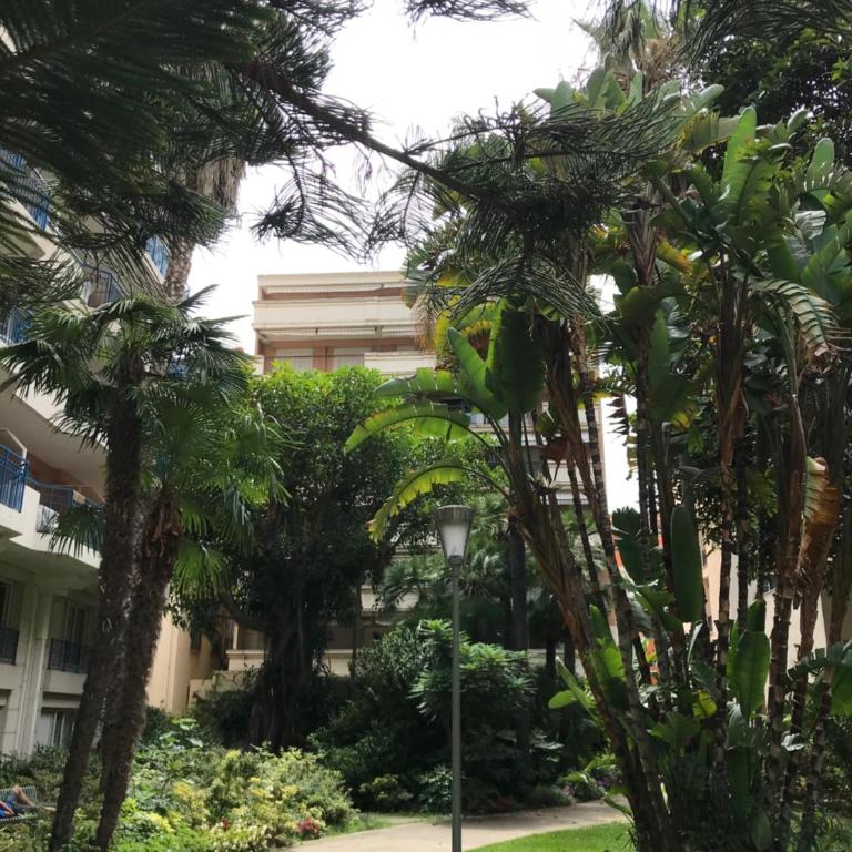 Beach apartment with tropical garden and mountain view Best location - One-Bedroom Apartment - 3