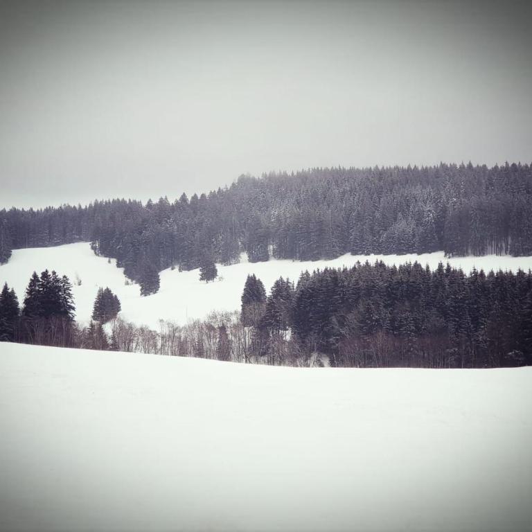 Allgäu Bergluft - Apartment - 56