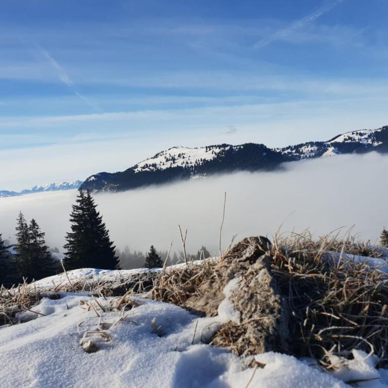 Allgäu Bergluft - Apartment - 52