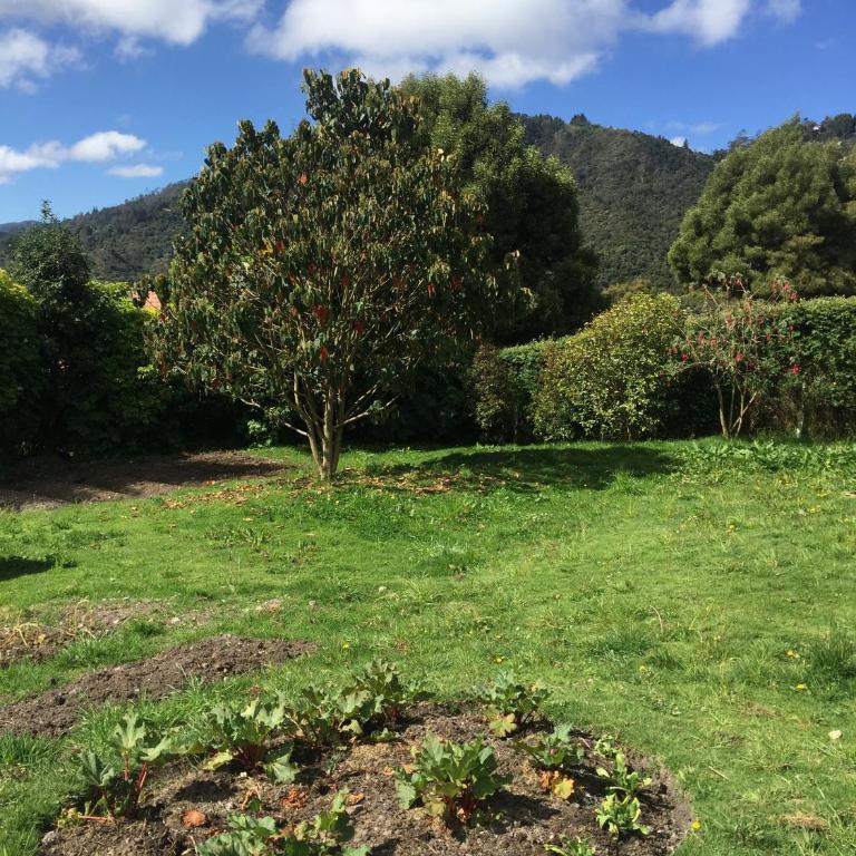 Titué Refugio , Cabañas - Villa de 2 dormitorios - 16
