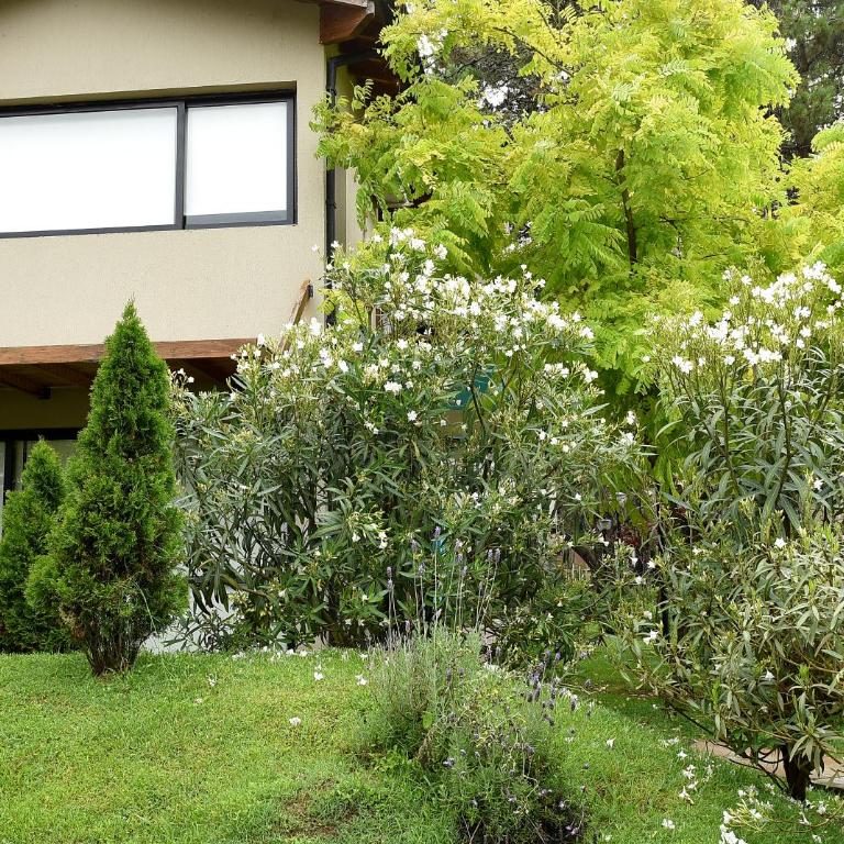 Altos de la Reserva - Apartamento Deluxe - 10