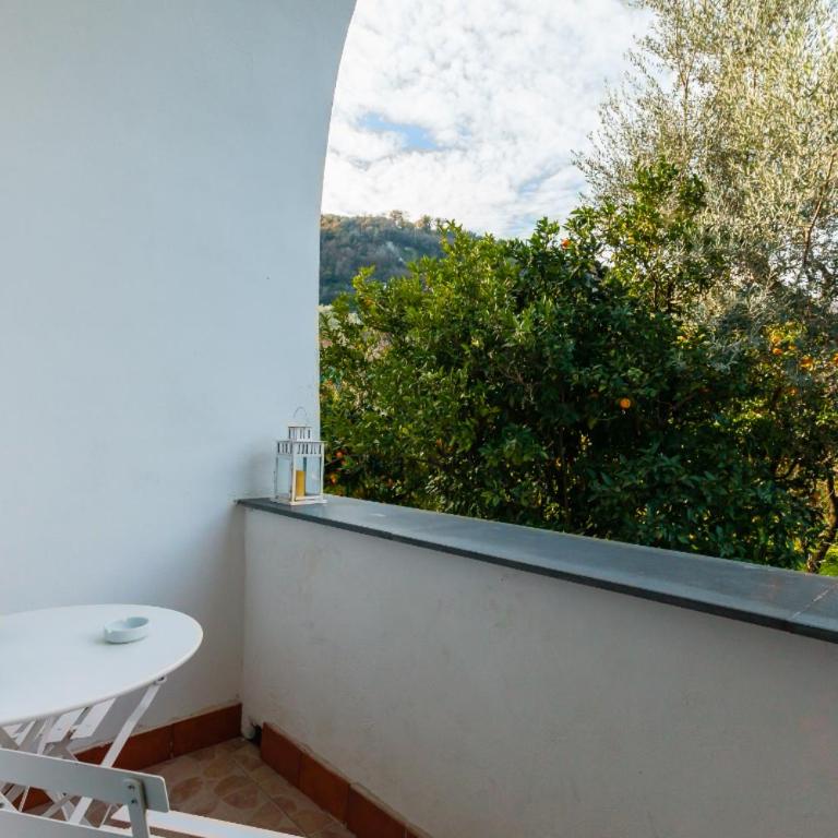 Villa Beatrice - Appartamento Standard - 14