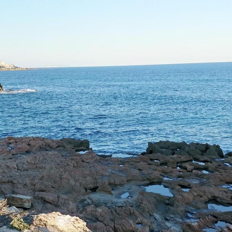 Estudio Jardín del Mar - Estudio - 25