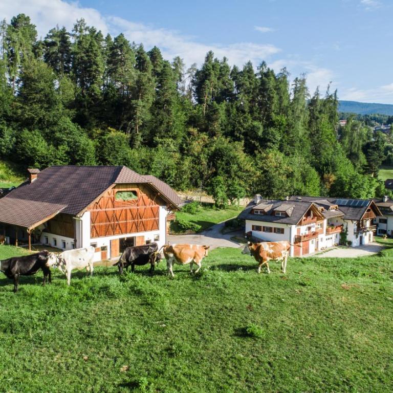 Appartments Neuhof - Appartamento (2 Adulti) - 2