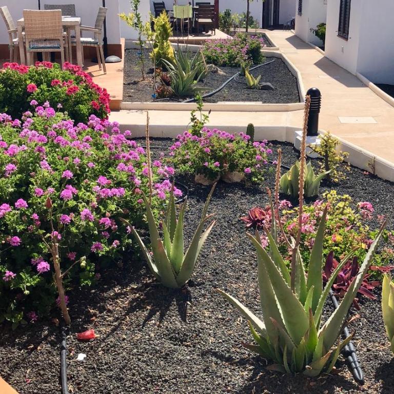 La Casita Sun Beach - Vacation Home - 37