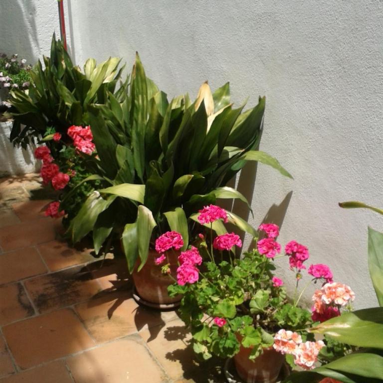 La Casita del Corralon - Two-Bedroom House - 8