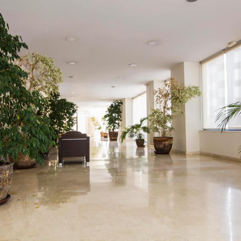 Apartamento Racimo El Puerto de Santa Maria - Apartamento Estudio - 22