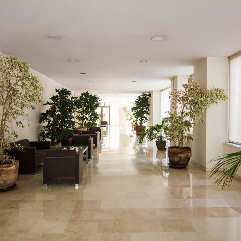 Apartamento Racimo El Puerto de Santa Maria - Apartamento Estudio - 23
