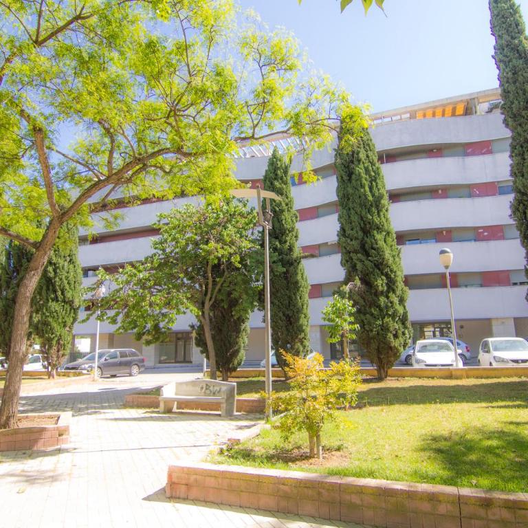 Apartamento Racimo El Puerto de Santa Maria - Apartamento Estudio - 18