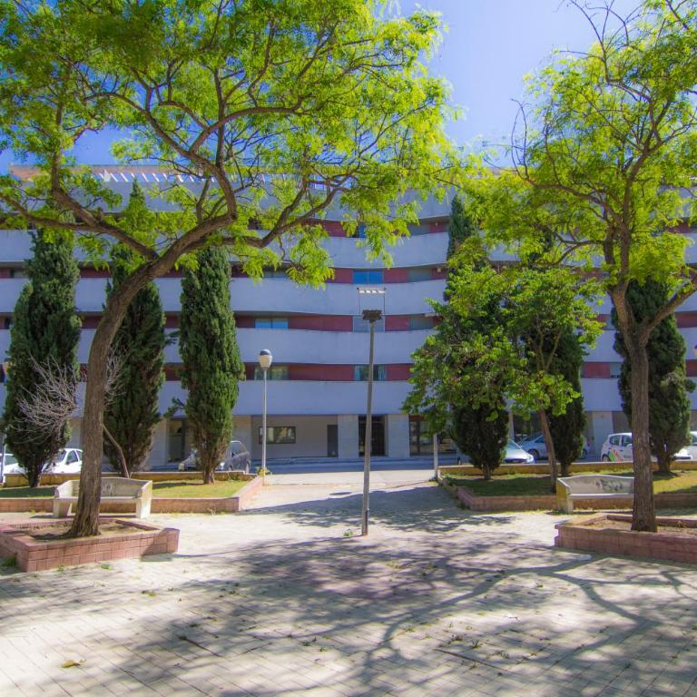 Apartamento Racimo El Puerto de Santa Maria - Apartamento Estudio - 17