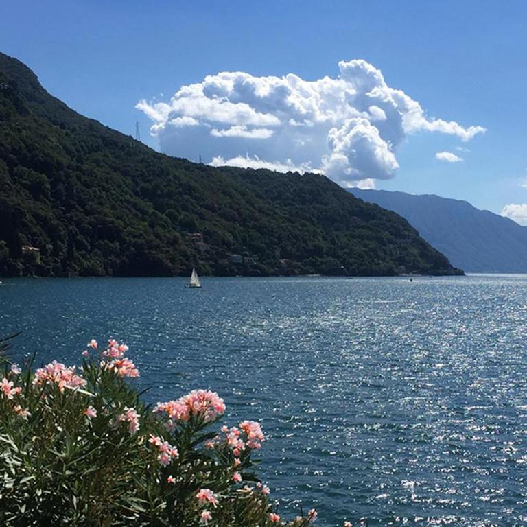 Daniel House - Lake and ferry terminal 1 minute walk, in the heart of Bellano - Appartamento con Balcone - 45