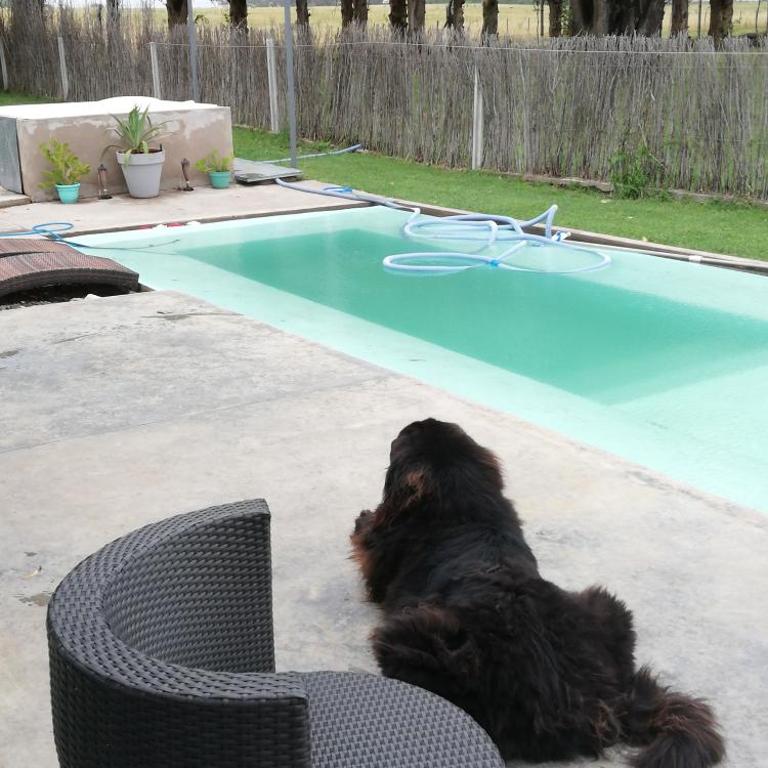 Barrancas de San benito barrio privado - Loft - 1