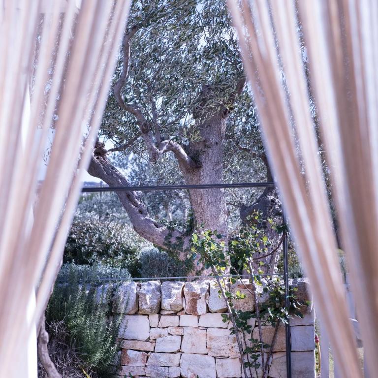 Il Trullo di Ben - with Private Pool in Locorotondo - Perfect for Couples & Quiet Escapes - Dogfriendly - Vacation Home - 10