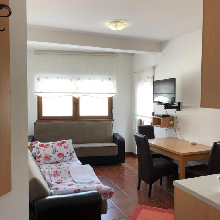 Vila Nina Kopaonik - Apartment - 12