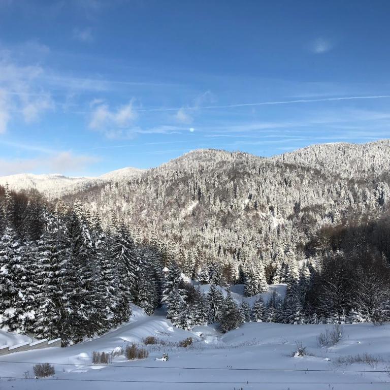 Vila Nina Kopaonik - Studio Apartment - 1