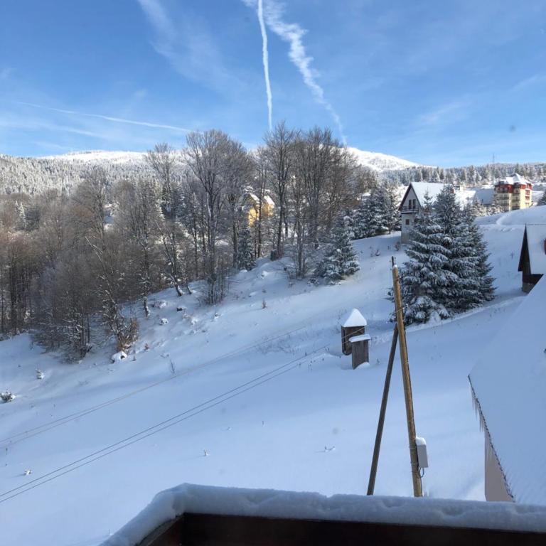 Vila Nina Kopaonik - Apartment with Balcony - 12