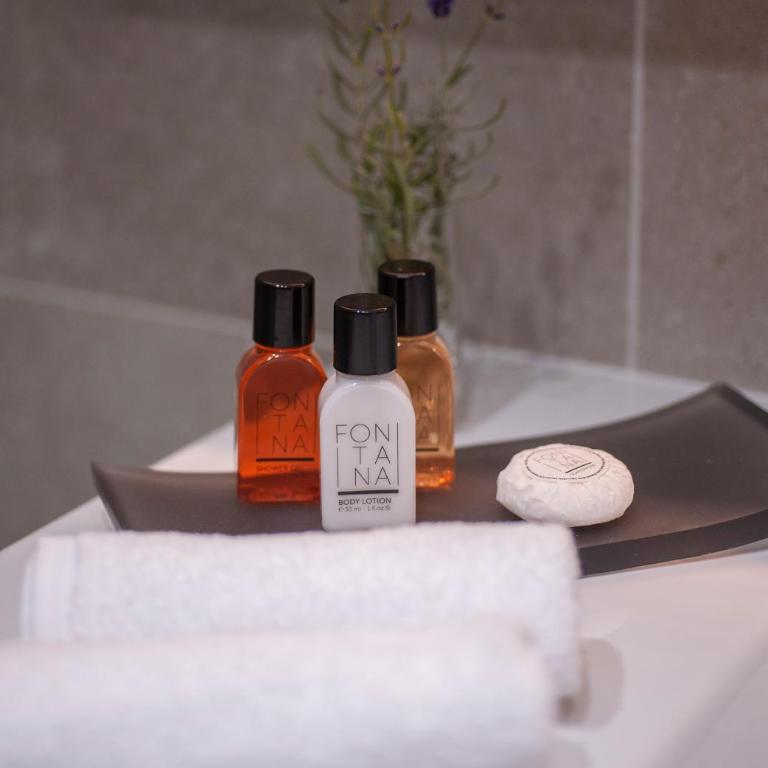 Fontana Hotel & Gastronomy - Deluks Dvokrevetna Soba sa Bračnim Krevetom i Pogledom na Grad - 5