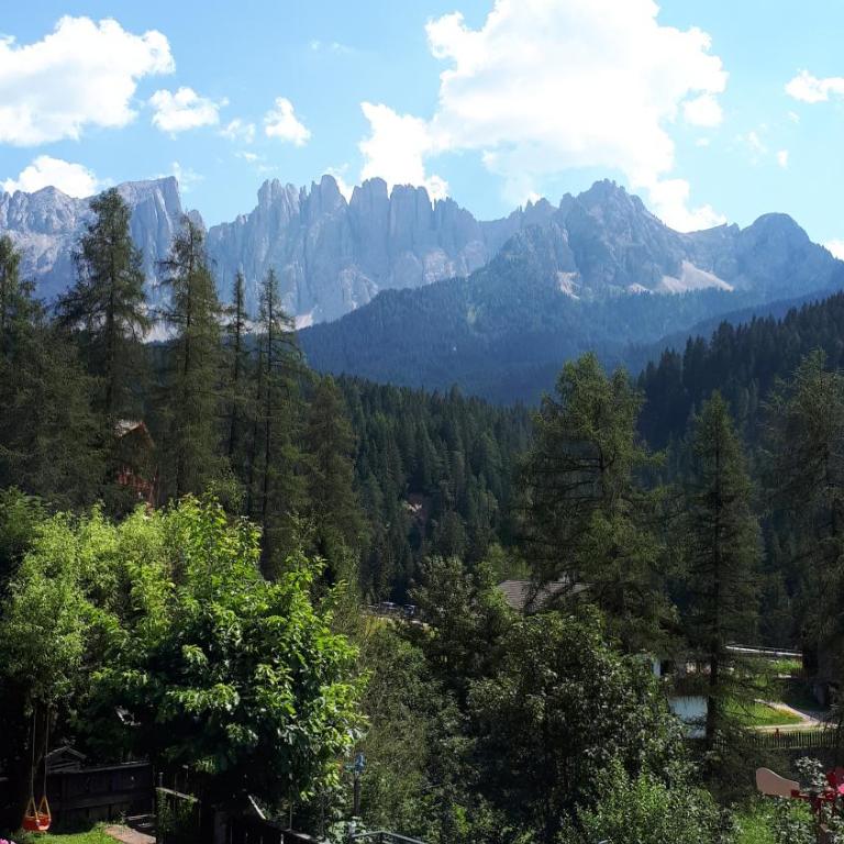 Haus Christian Welschnofen - Berge fühlen und Natur genießen in den Dolomiten, nahe am Karersee, inklusive Eggental Guestcard - One-Bedroom Apartment with Mountain View - 6