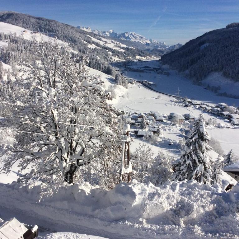 Haus Erika - Apartment mit 2 Schlafzimmern und Bergblick - 18