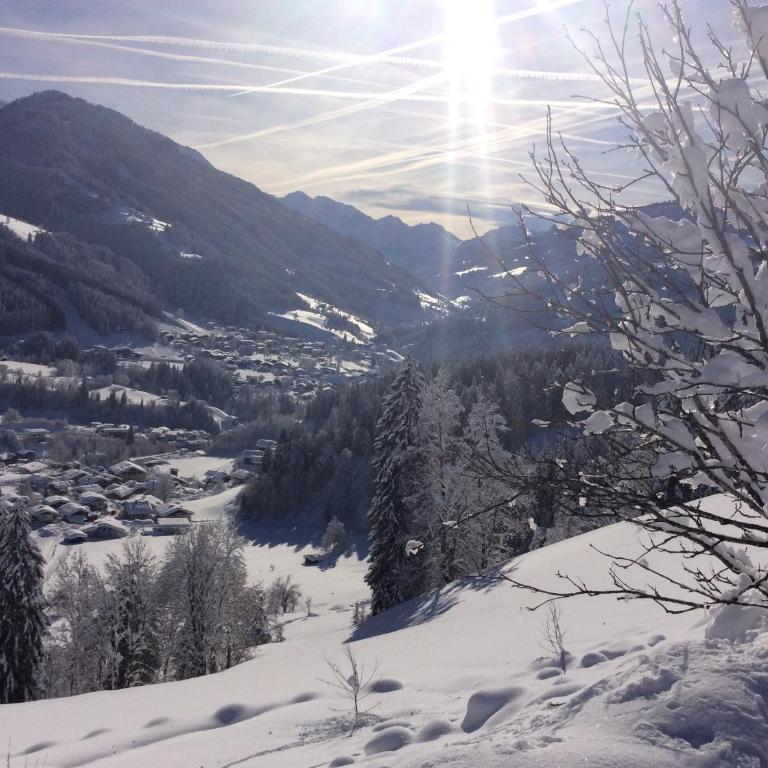Haus Erika - Apartment mit 2 Schlafzimmern und Bergblick - 22
