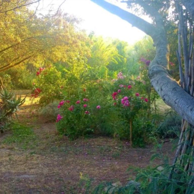 Casa Orsoni - Appartement - Rez-de-Chaussée - 5