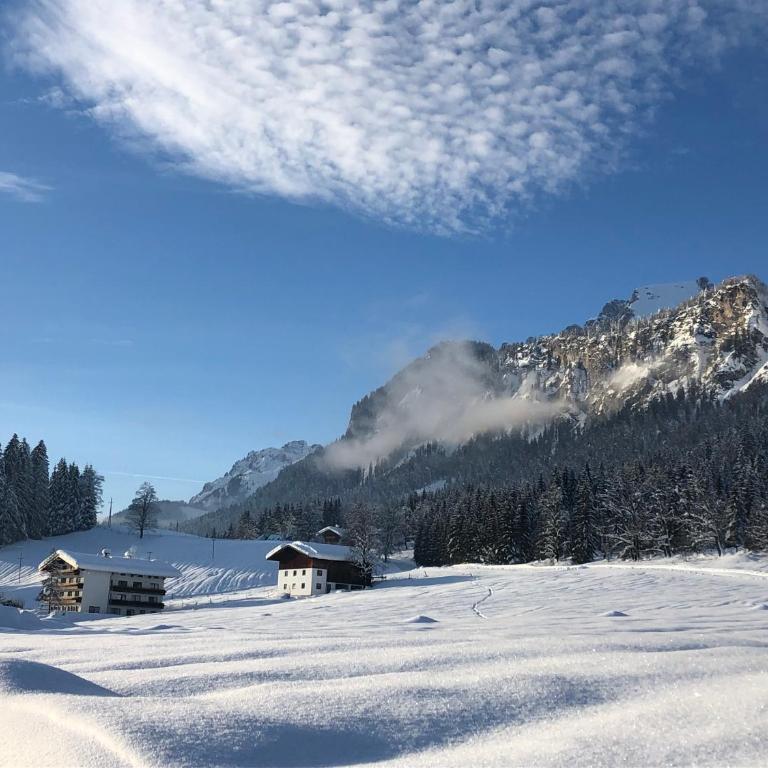 Berghof Haselsberger Appartements - Apartamento con vistas a las montañas - 30