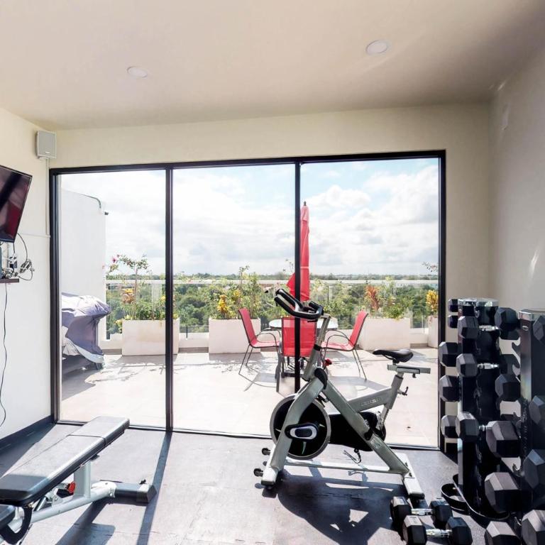 Zulim Condo - 302 - Estudio - 13